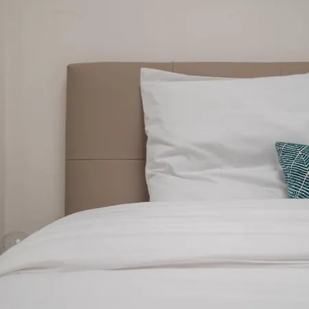 Lumineux Avec Rooftop Et Garage Privé. Appartement Lille