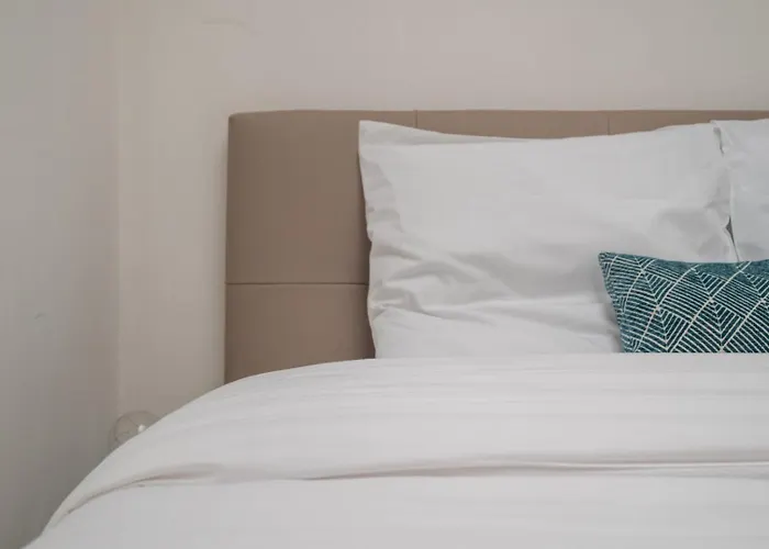 Lumineux Avec Rooftop Et Garage Privé. Appartement Lille