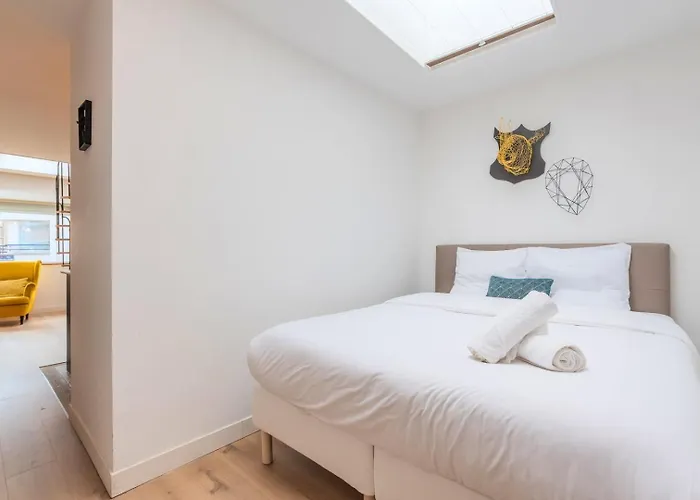 Lumineux Avec Rooftop Et Garage Privé.